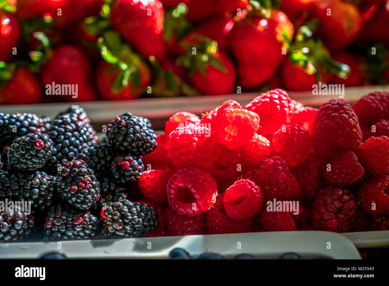 Natürliche organische Himbeere, Erdbeere und Blackberry Beeren mit einem hohen Gehalt an Vitaminen, Antioxidantien, Glukose und anderen Substanzen erforderlich für Stockfoto