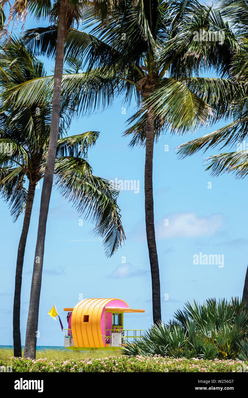 Miami Beach, Florida, North Beach, Rettungsschwimmerstation, Turm, Palmen, öffentlicher Strand am Atlantischen Ozean, FL190531048 Stockfoto