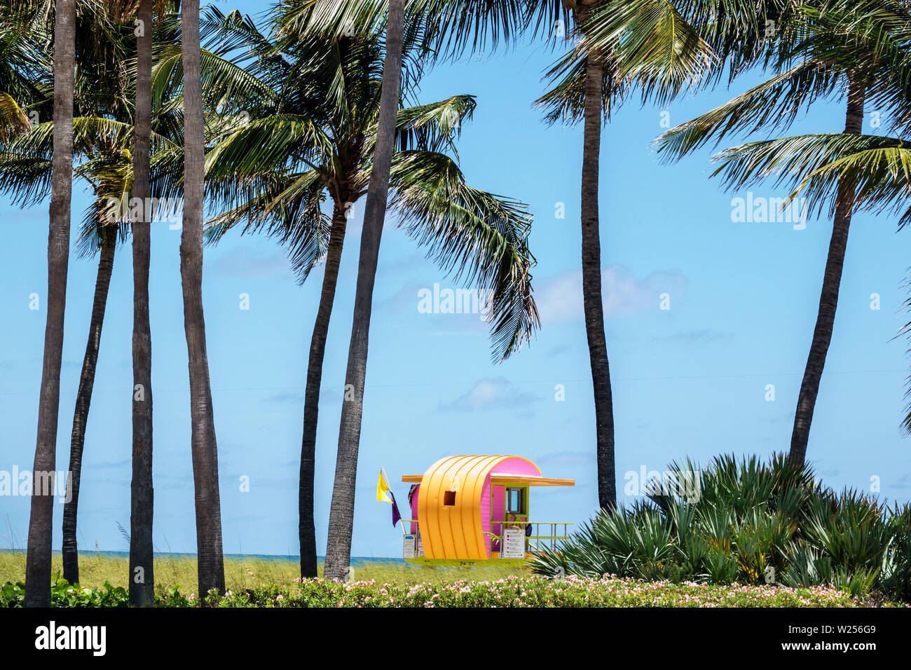 Miami Beach, Florida, North Beach, Rettungsschwimmerstation, Turm, Palmen, öffentlicher Strand am Atlantischen Ozean, FL190531049 Stockfoto