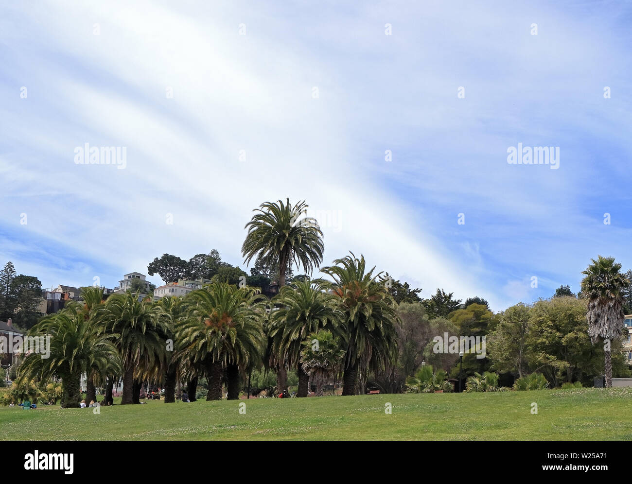 Blick auf die Mission Dolores Park in der Innenstadt von San Francisco, Kalifornien Stockfoto