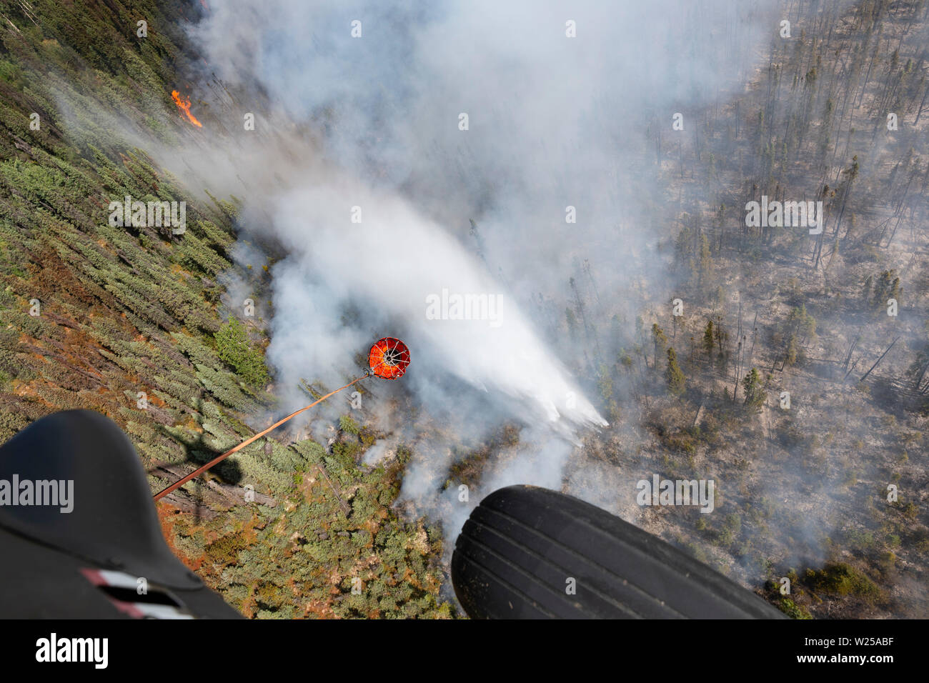 Alaska Army National Guard UH-60 Blackhawk Mannschaften von 1-207 th Aviation Arbeiten zur Unterstützung der Abteilung der Forstwirtschaft Besatzungen ein wildfire bei Montana Creek in der Nähe von Talkeetna, Alaska Juli 4, 2019 zu kämpfen. (U.S. Army National Guard Foto von SPC. Michael Risinger/Freigegeben) Stockfoto
