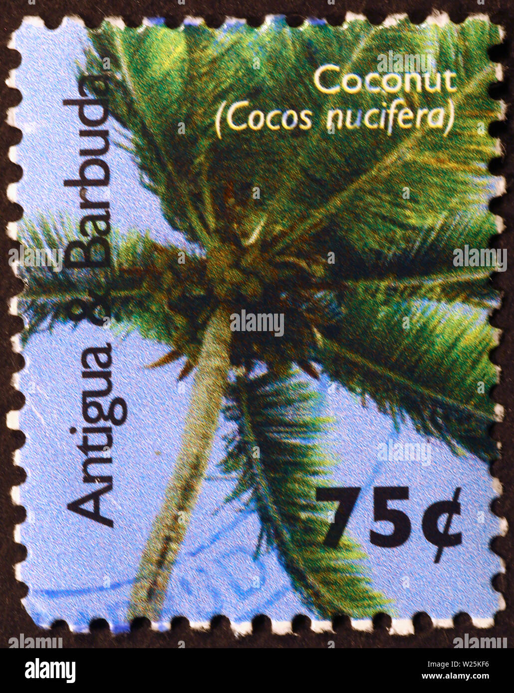 Palme auf der Briefmarke von Antigua Stockfoto