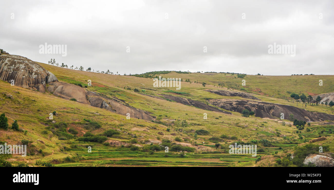 Typische Madagaskar Landschaft in der Region in der Nähe von Farariana an bewölkten Tag. Eher flach Gras Land nur wenige Bäume, mit einigen Felsen und Hügel, Felder von Reis Stockfoto