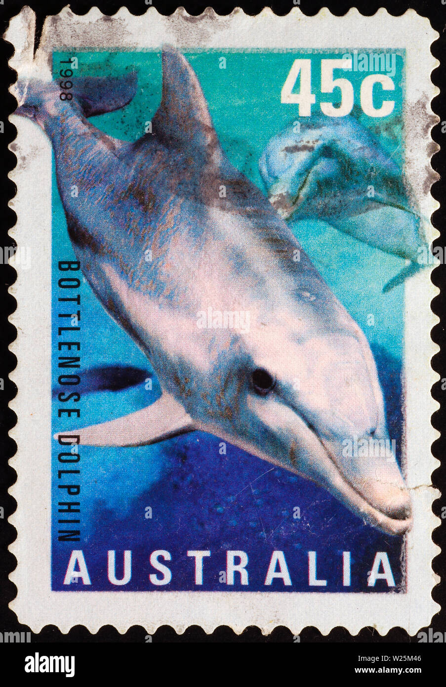 Delphine auf australischen Briefmarke Stockfoto