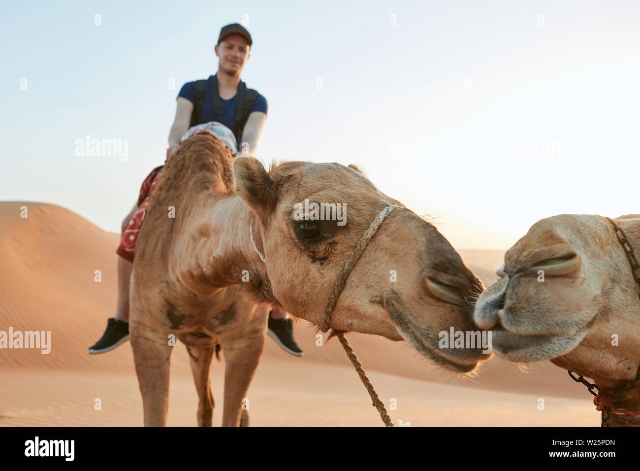 Kamelreiten in der Wüste. Junger Mann genießen Reise auf Sanddünen. Wahiba Sands im Sultanat Oman Stockfoto