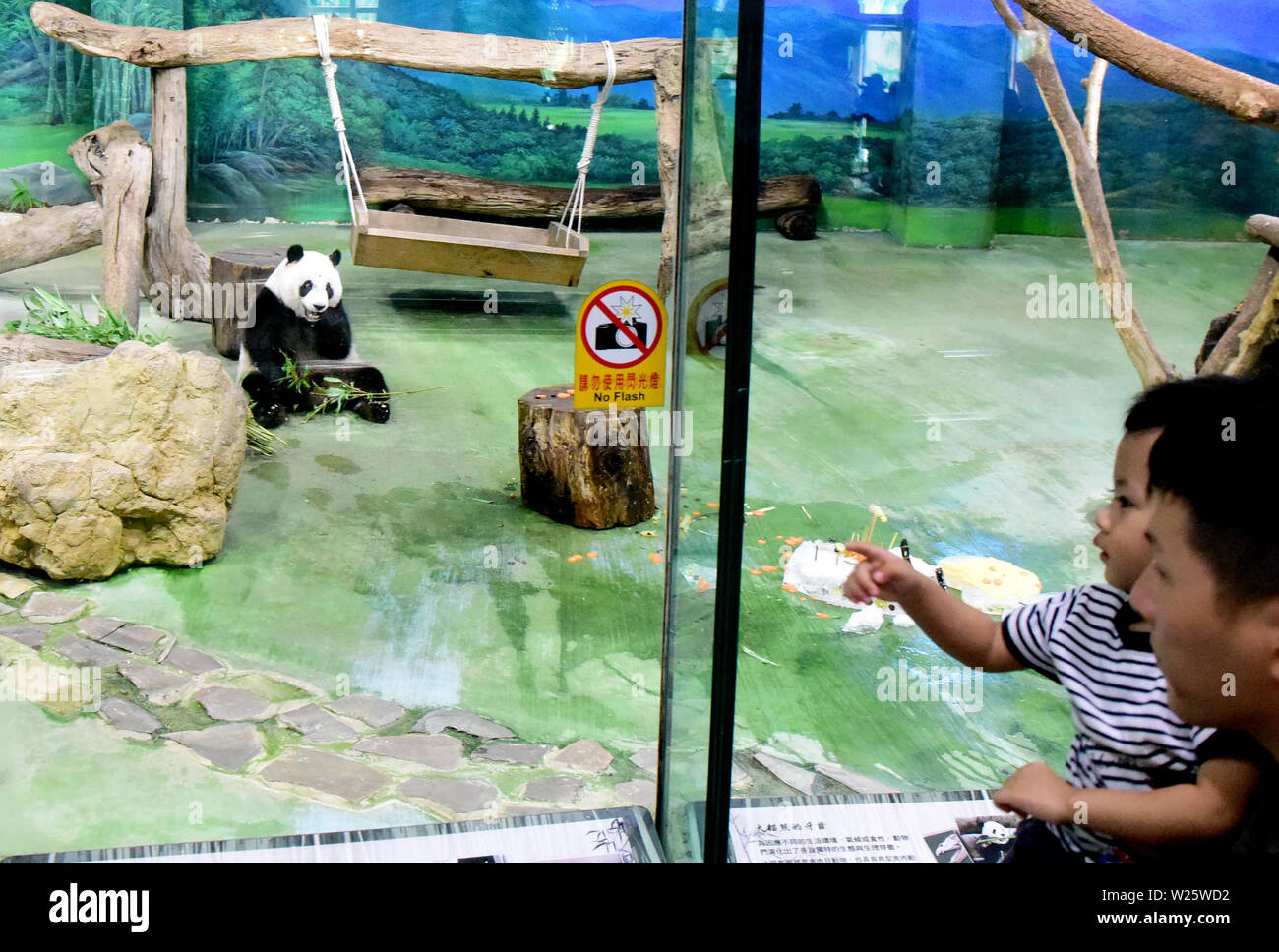 Von Taipeh, Taiwan. 6. Juli, 2019. Peole kommen Giant panda" Yuanzai zu sehen" im Taipei Zoo in Taipei, Südosten Chinas Taiwan, 6. Juli 2019. Yuanzai, das Baby, das von zwei riesenpandas, Tuantuan und Yuanyuan, feierte seinen sechsten Geburtstag im Taipei Zoo am Samstag. Credit: Zhu Xiang/Xinhua/Alamy leben Nachrichten Stockfoto