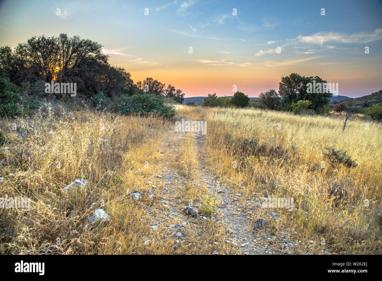 Sommer Landschaft mit felsigen Wanderweg auf dem Hügel in den Cevennen, Südfrankreich. Stockfoto