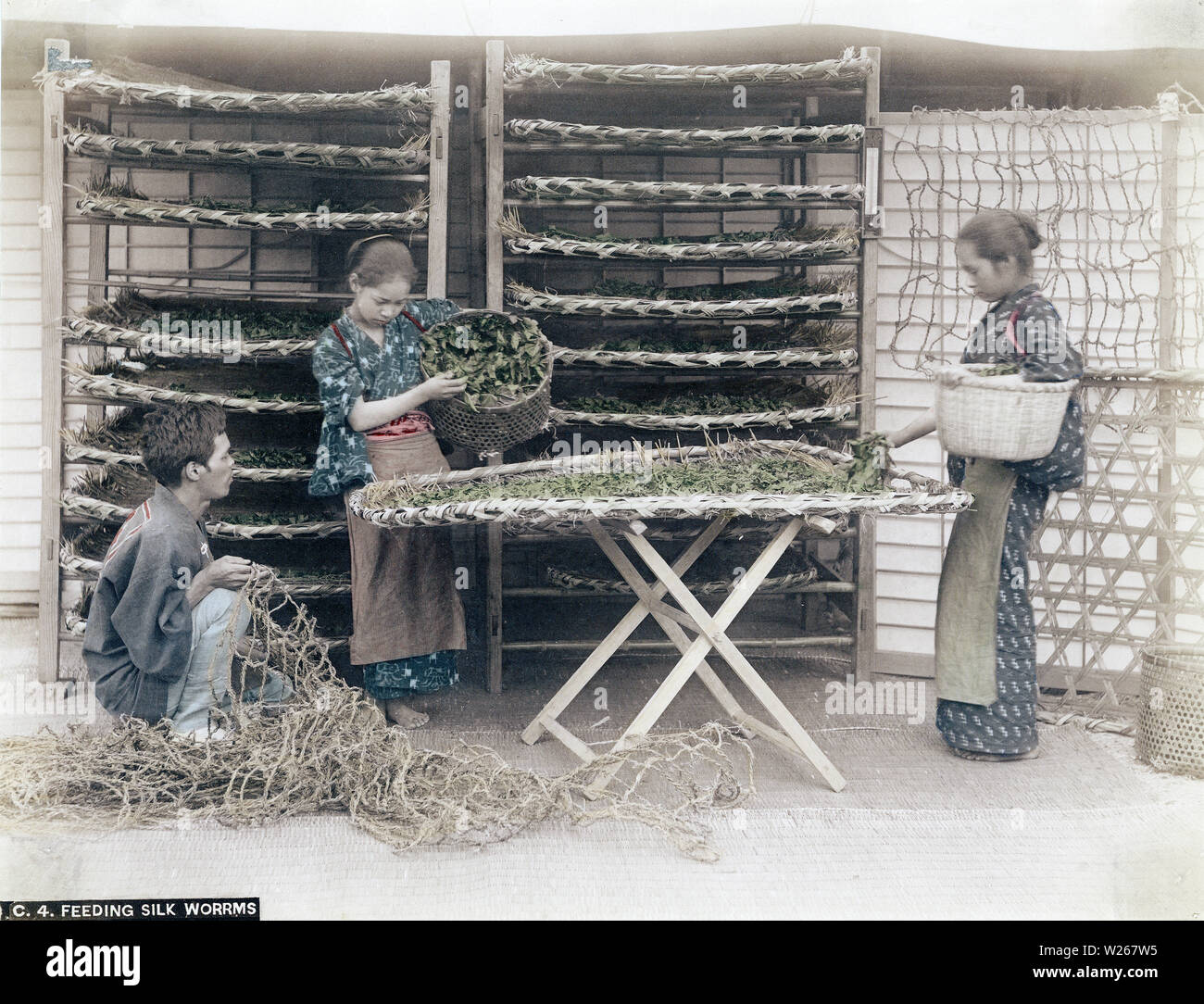 [1880s Japan - Japanische Frauen Fütterung Seidenraupen] - Zwei Frauen feed Seidenraupen mit maulbeerblättern. 19 Vintage albumen Foto. Stockfoto