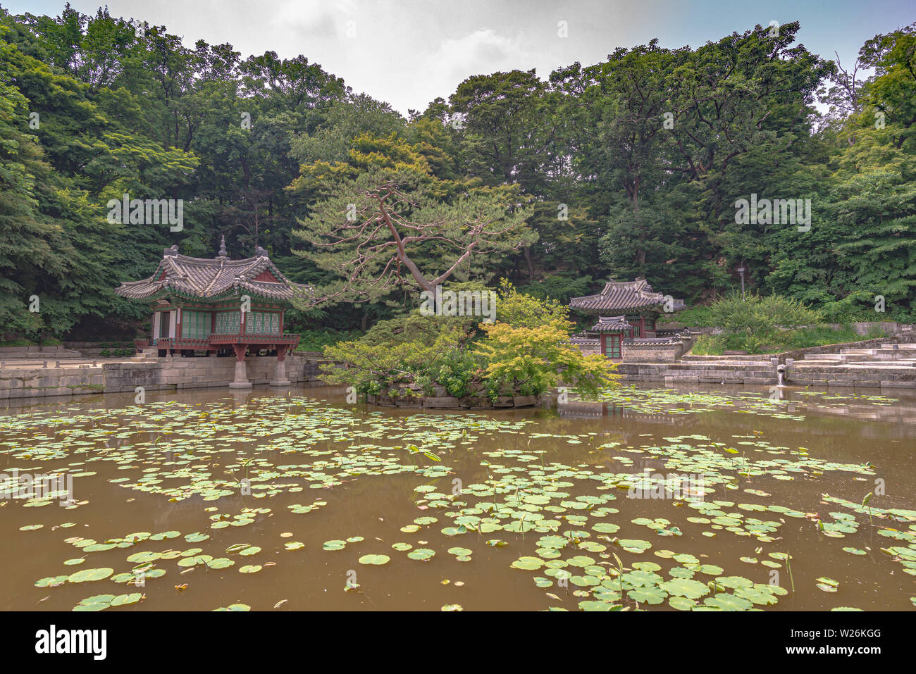 Teich in der geheime Garten der Changdeokgung Palast, im Sommer, Seoul, Korea Stockfoto