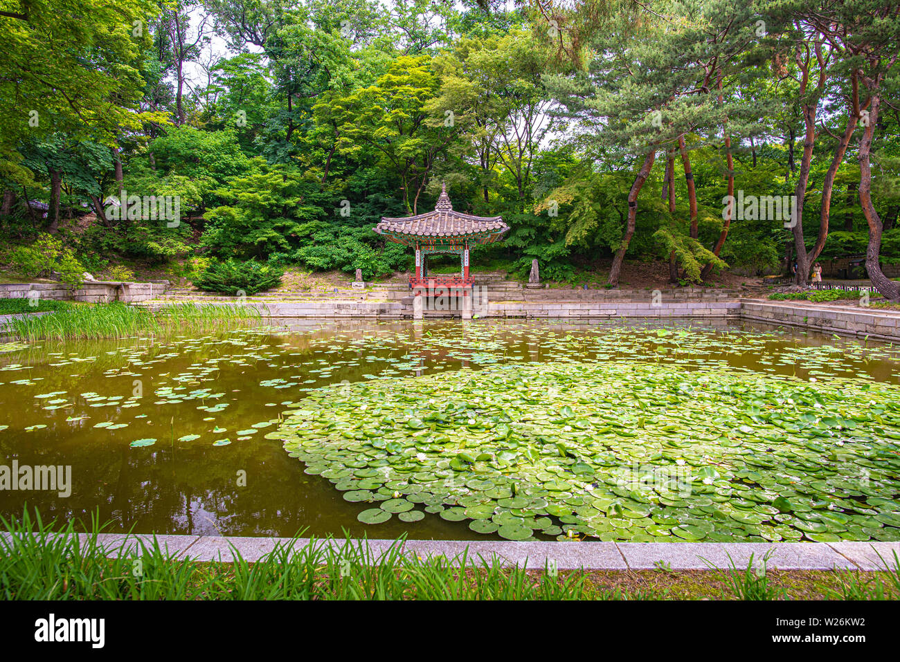 Teich in der geheime Garten der Changdeokgung Palast, im Sommer, Seoul, Korea Stockfoto