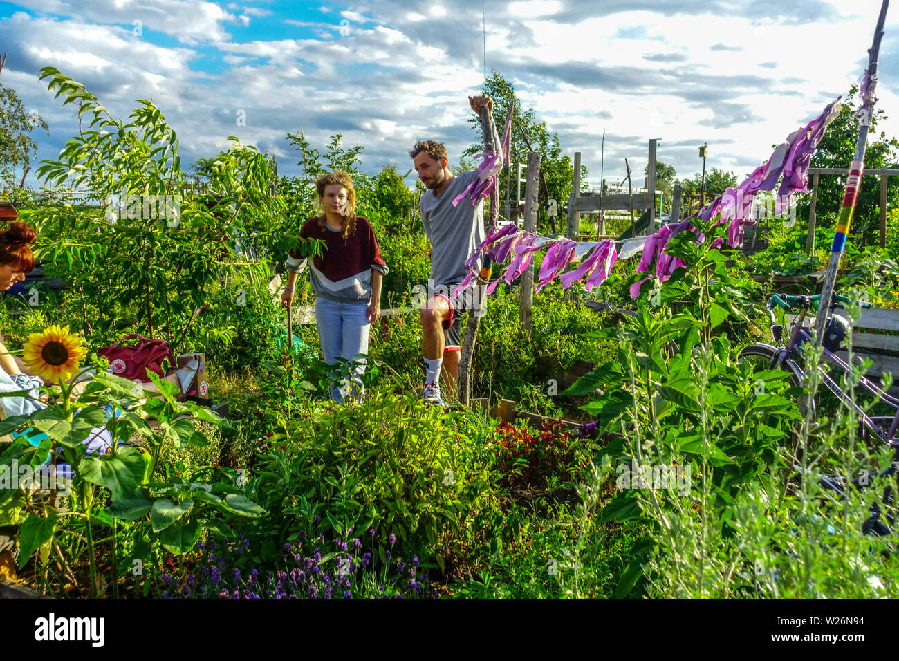 People Tempelhof Field, Berlin Community Garden Permakultur Garden Berlin-Neukölln, Deutschland Europa Stockfoto