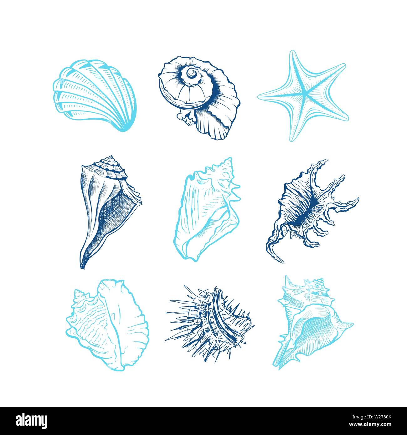 Seashells handgezeichnete Vektorgrafiken. Unterwasser Tiere, Seesterne, Seeigel blaue Tinte Gravuren auf weißem Hintergrund. Ozeanischer Fauna, spiralförmig Conch Zeichnungen. Tattoo, Aufkleber Stock Vektor