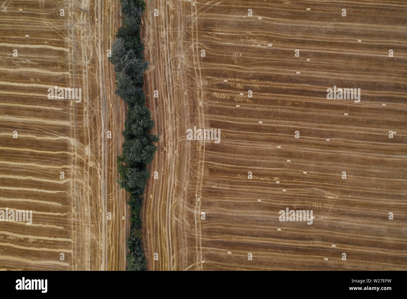 Antenne drone Fotografie von Ländereien. Landwirtschaftlichen Parzellen von flachen landet in Polen, Europa Stockfoto