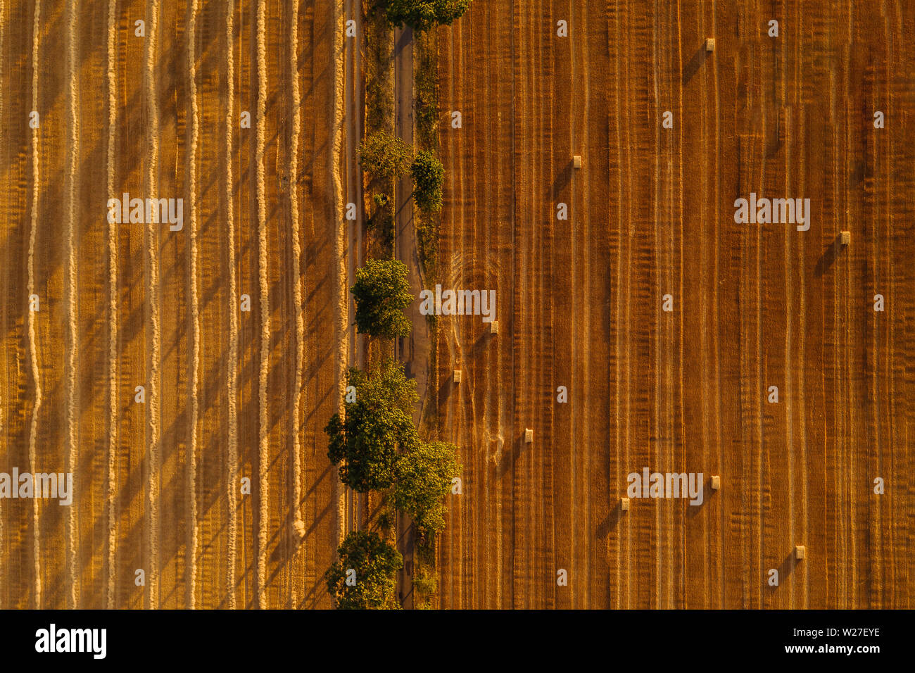 Antenne drone Fotografie von Ländereien. Landwirtschaftlichen Parzellen von flachen landet in Polen, Europa Stockfoto