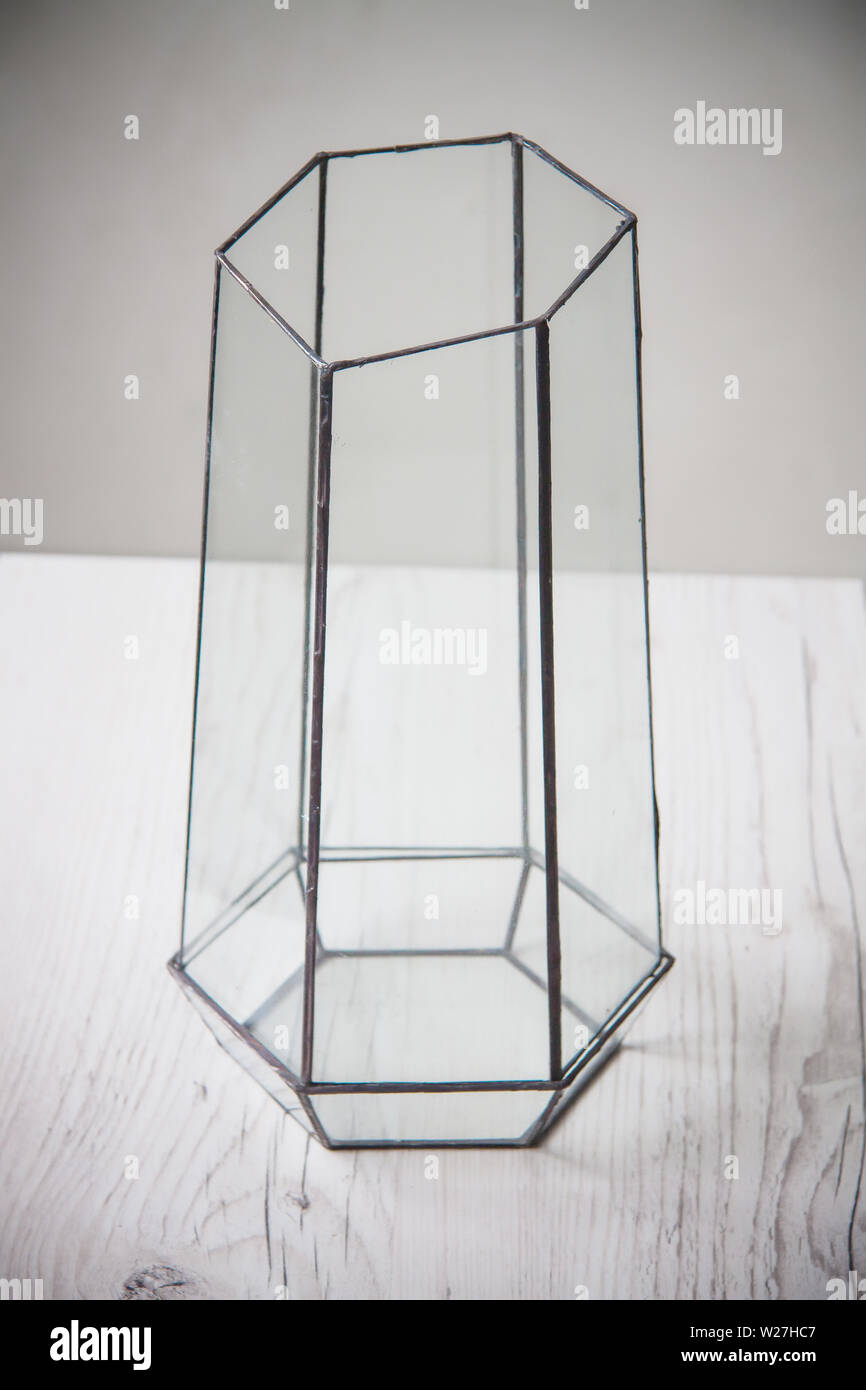Glas florarium für Anlage, schöne geometrische Vase für den Innen Stockfoto