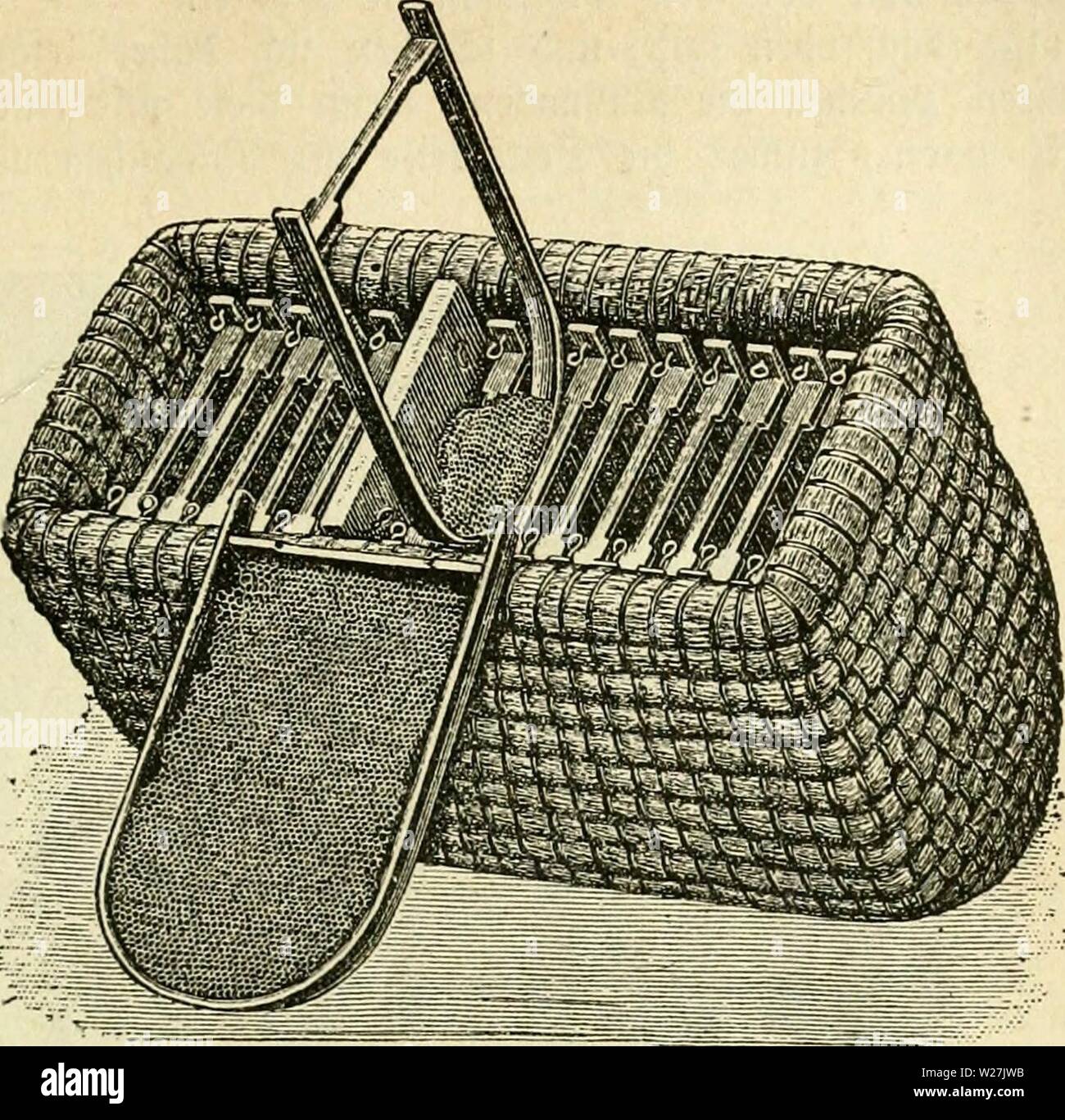 Archiv Bild von Seite 286 Das Buch von der Biene. Das Buch von der Biene dasbuchvonderbie 00 witzg Jahr: 1898 2) äh moUlban. 271 forberticf) e Ü? Qum entftel) t. Stud) ha infteüen ber SöoBen gel) t olne (tüierigfeit. (Sin' akii ober ift, Ba bie 9?) Männer m (f) t oon ber (Stette gejdoben ober ge-rüdt werben, fönnen olfine hü iebe ein=jetn ou § ber (Säge) Ihr Browser kann leider keine eingebetteten Frames anzeigen löirb, Oud) ift unangenelm, ha Mähne § na (f). Öerum ne bin en § Orbe § immer gleic mit bem Ganzen werden 3 Sol äu tijun Ijüt, ht' - fonberS menn ha-felbe fted) Iu [tig ift. ® ie') erfteEung mu | mittetft einer befonberen Gorm gefce" [) en, bamit bie 3 JJaBt) e Stockfoto