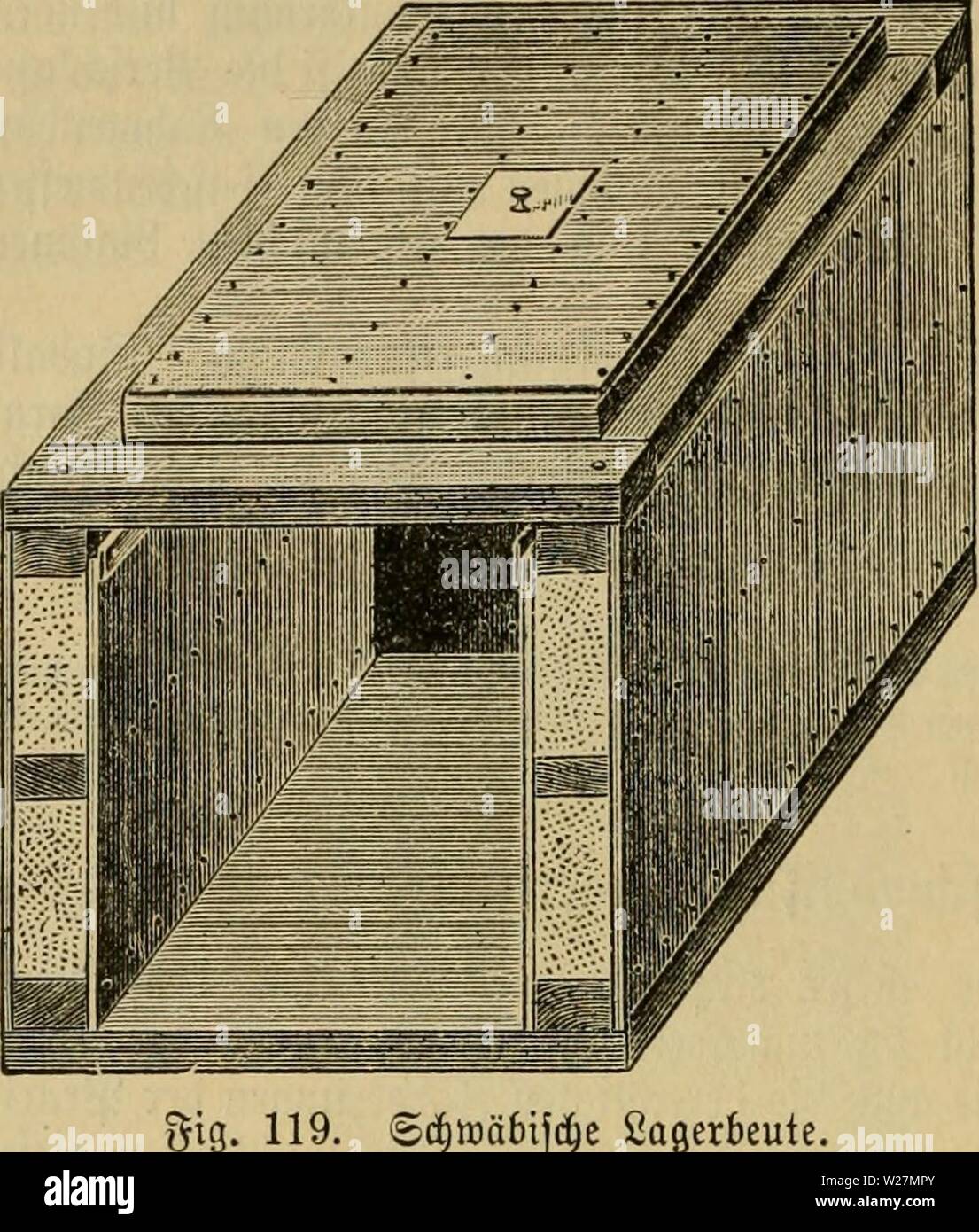 Archiv Bild von Seite 295 Das Buch von der Biene. Das Buch von der Biene dasbuchvonderbie 00 witz Jahr: 1898 280 58 iencntt) von) Nonne 9 en. S) ie nacf) üor [teenben (55 efirf) t § Funtensee fonftruierte 2 ÖDt) iiung ift eine Sagerbeute (? Tg. 119), im £-id) Zehn 28,4 cm breit, 39,3 cm röum liorf) (Unter 2,5 cm, 9?-af) Männer i) Öl) e 36,2 cm, Dberraum 0,6 cm) unb Ca. 70 cm tief, JD ha'18 9 Ftat) Männer in bemfetben (a finben unb norf) genügenb Ü? aum bleibt, um Aurf) im öoE ftänbig bejeten tocfe bie SSaben keine um 9 Ta bin en=Breite äurücff (f) äu fonnen Ieben. ® ie Srutromen umfrf) Iie § en einen SBaben förper Bon 26 cm S3 reite un Stockfoto