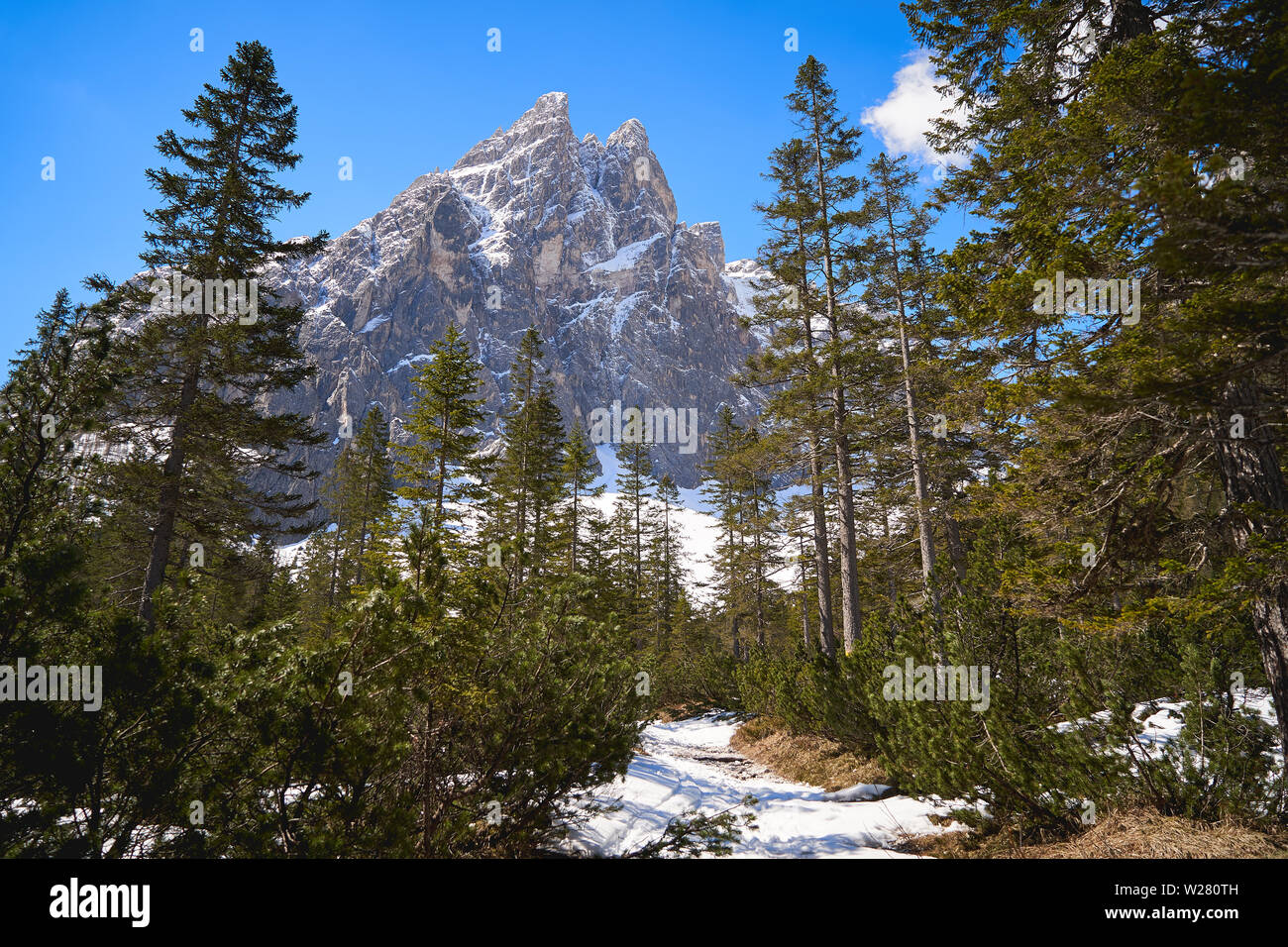 Blick auf die Dolomiten in der Nähe der Ortschaft Sexten im Pulster Valley, im Trentino Alto-Adige Region in Italien. Querformat. Stockfoto