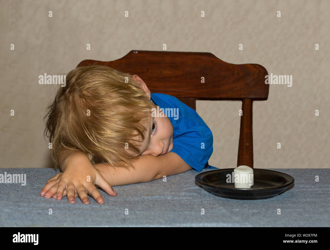 Junge Kind an einem Tisch sitzen warten geduldig auf ein Marshmallow Stockfoto