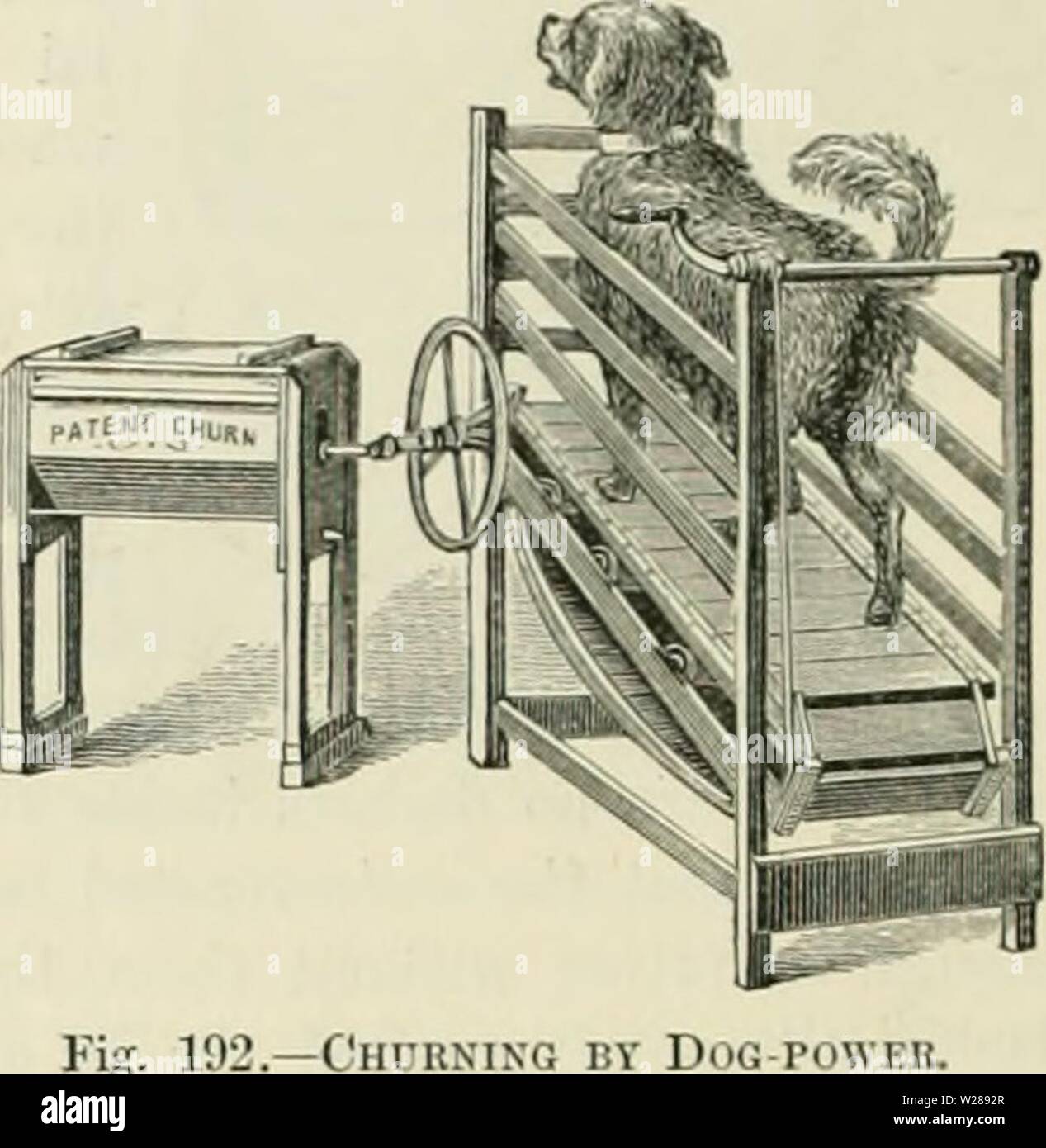 Archiv Bild ab Seite 389 der Milchwirtschaft, die. Milchwirtschaft: die Theorie, Praxis und Methoden der Milchviehhaltung dairyfarmingbein 00 shel Jahr: 1880 Abb. 190.- Nicholson Portable Motor asd Kessel. ist gut Siit (d (o siiili Arbeit als eliurnin<, während Sie tun, verschiedene andere kiuds Arbeit: Helong zur Molkerei - farmiii &Lt;4', wie Spreu - Schnitt-, zerdrücken, Schleifen, und dergleichen. In der Tat, eine cngiiie dieser Art ist ein valuaLle hinaus zu einem modernen Dairy-Farm. Ein sehr gutes, einfaches, und eft "eetive one-horse-) iower Motor und Kessel eoinbined, wie die 192.-C'H Stockfoto