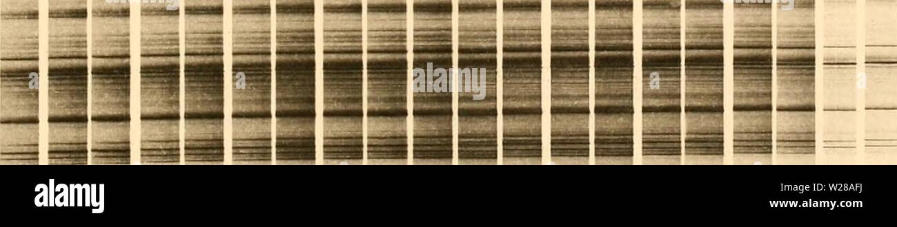 Archiv Bild ab Seite 400 der Denkschriften der Kaiserlichen Akademie der. Denkschriften der Kaiserlichen Akademie, Christian, Mathematisch-Naturwissenschaftliche Classe denkschriftender 61 kais Jahr: 1894 660 Z Â" l yz-M n oozz qj-CD CO Ã M £ 2 PQ-msz U?- = cS ein â X: â Ã¤ 1> sÃ¤[SJ TU ich N7 Ã¶ D3 -4 - +3 0 c O O Ã¶ s p Ã CS c -> C O O O-sÃ¤w33 T â k TL c-o 03 3 O> CO G i o a' ICH 13 • 4-o = v B c o C > S5-z - CO 33 - 03' 5 tj O "o" ein 03 3 ffl o O> 1 o PQ W Â" 5 X P N ih fM CO-IC'â l> X'03 Â £ J2s-• 2'5 M C 3 CD CO O O> o CO X)' Stockfoto