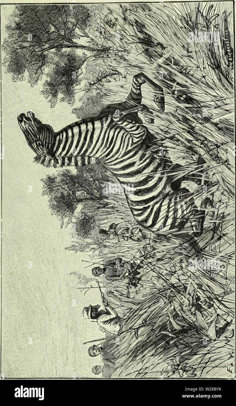 Archiv Bild ab Seite 412 von De Angola á contra - Costa; descripção. De Angola á contra - Costa; descripção de Uma viagem atravez tun Continente africano deangolacontrac 01 Kap Jahr: 1886 Stockfoto