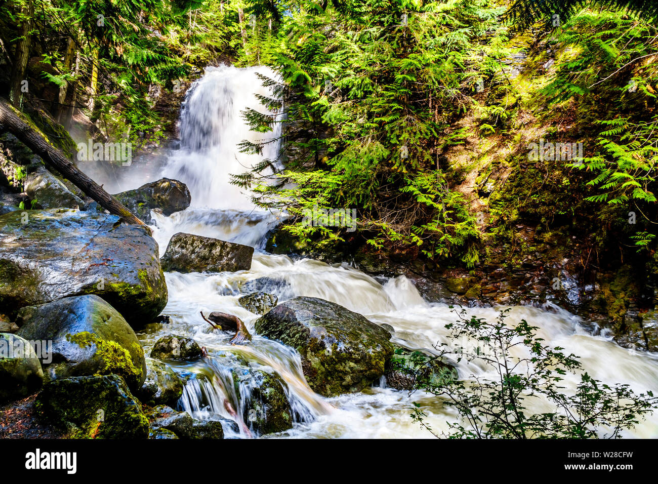 Frühling Schnee schmelzen Stolpern über Protokolle und Felsbrocken auf Mcgillivray Creek zwischen Whitecroft und Sun Peaks in der Shuswap Hochland in BC, Kanada Stockfoto