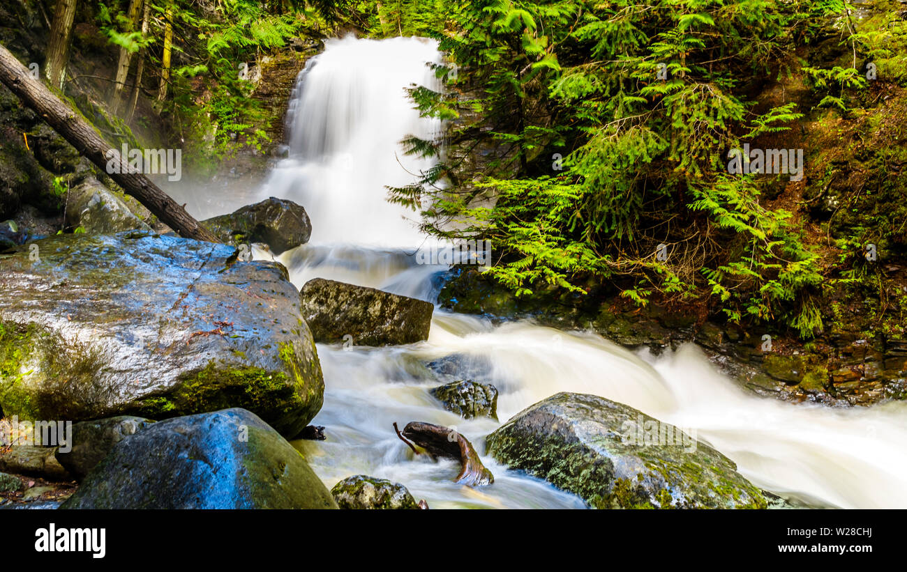 Frühling Schnee schmelzen Stolpern über Protokolle und Felsbrocken auf Mcgillivray Creek zwischen Whitecroft und Sun Peaks in der Shuswap Hochland in BC, Kanada Stockfoto