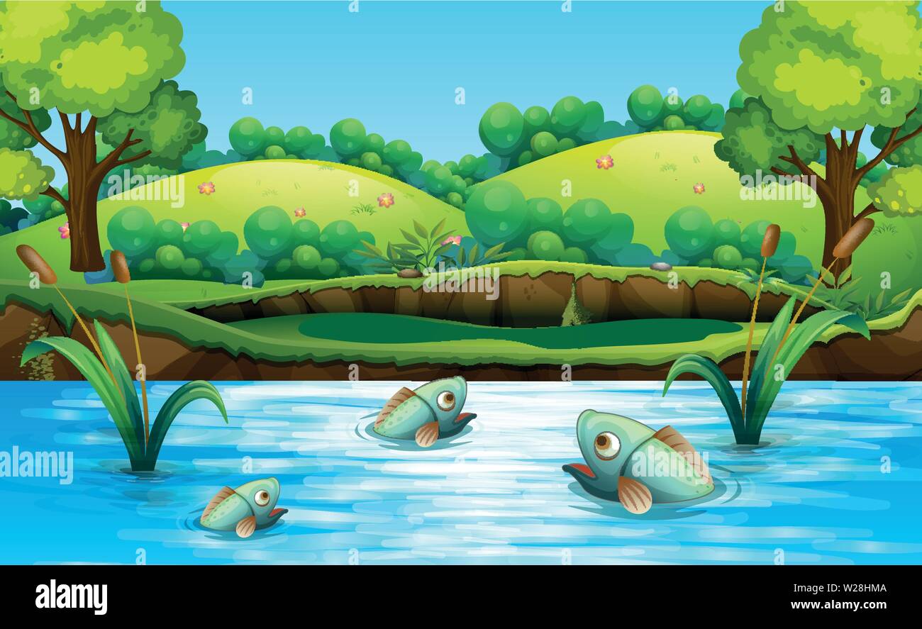 Fisch im teich kaufen Alamy