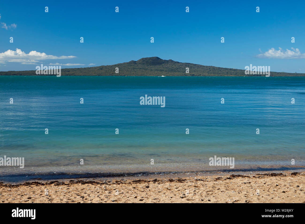 Rangitoto Island von Cheltenham Beach, Devonport, Auckland, Nordinsel, Neuseeland gesehen Stockfoto