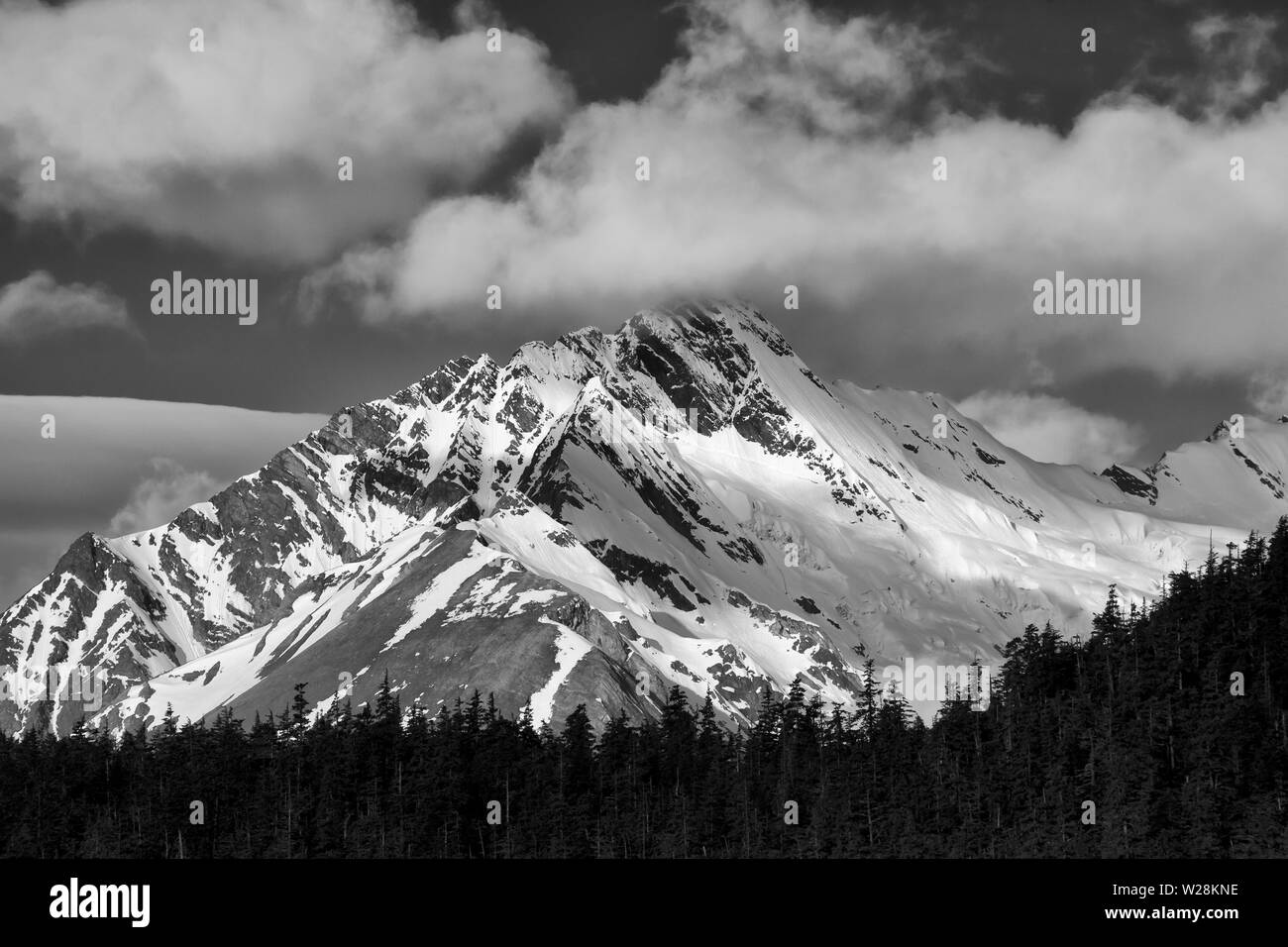 Takinsha Berge, Haines, Alaska, USA Stockfoto