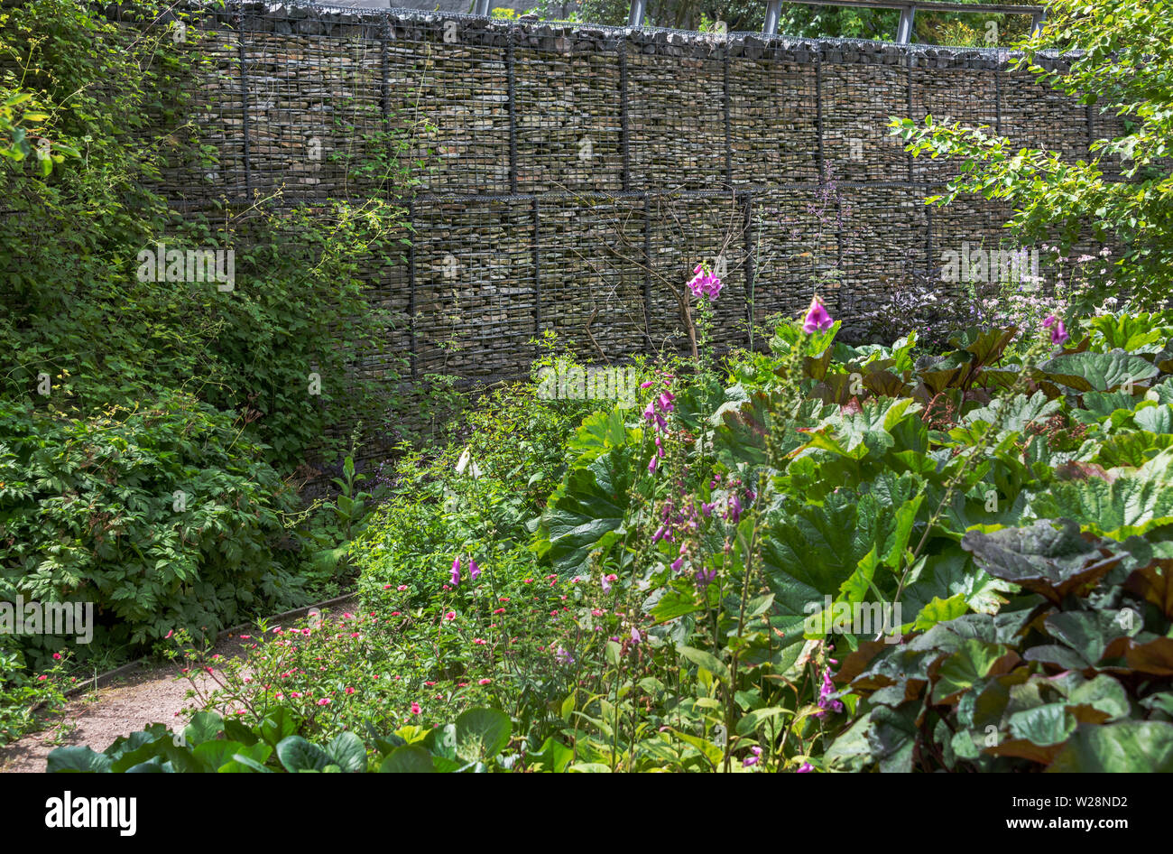 Gabionen Wand im Robinson Garten RHS Hyde Hall, Essex. Stockfoto