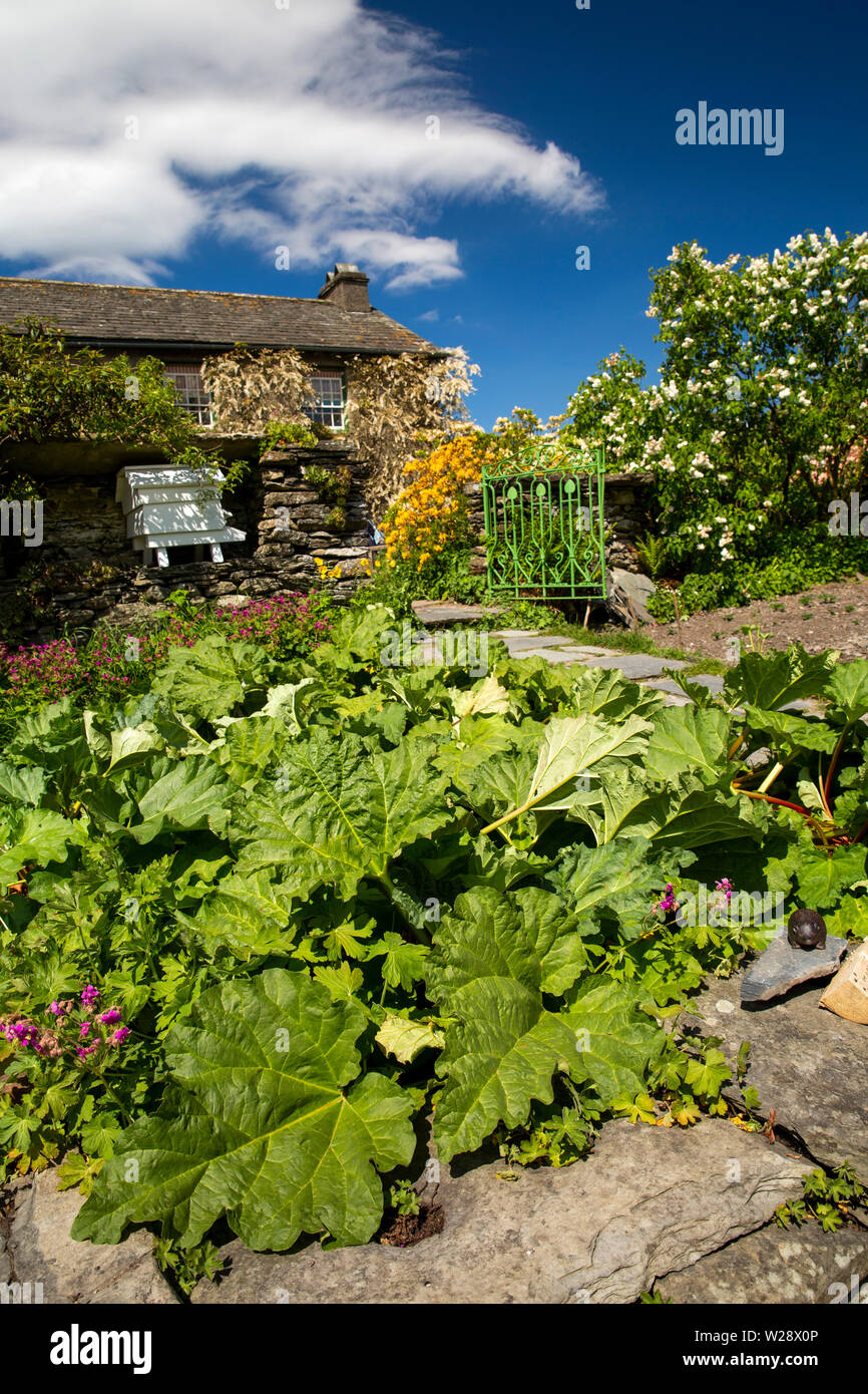 UK, Cumbria, Hawkshead, Near Sawrey, Hill Top Farm, Beatrix Potter's Home, Gemüsegarten, Rhabarber Stockfoto