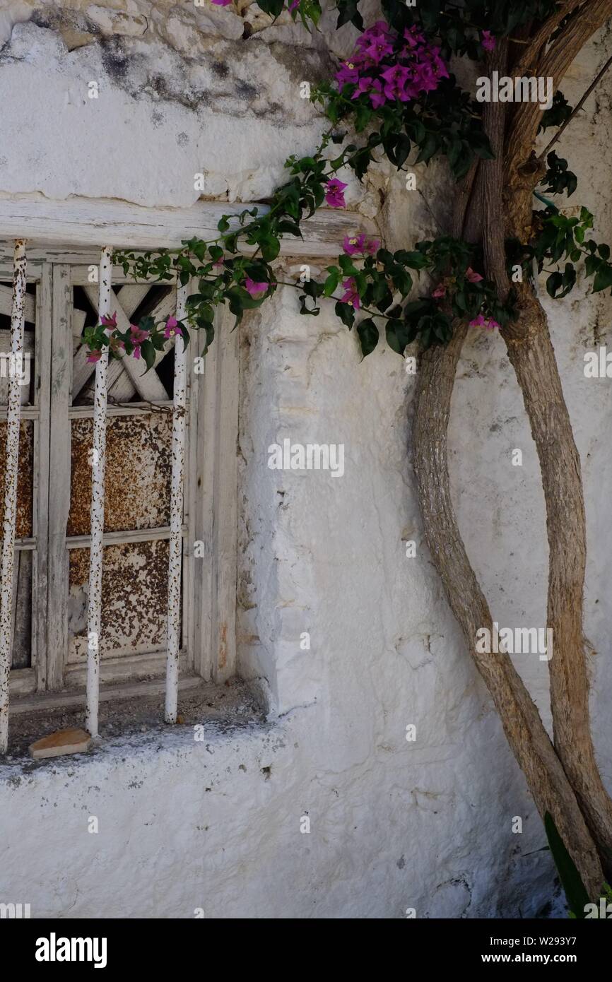 Afionis Dorf ein malerisches Haus in einem ruhigen Innenhof mit einem rustikalen Fenster eingestellt Stockfoto