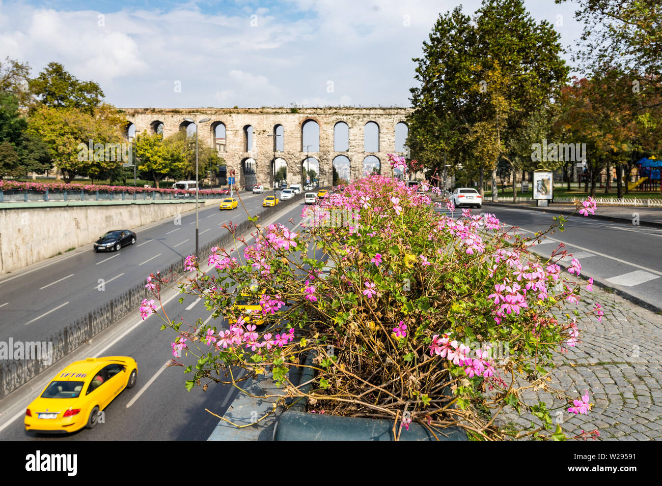 Rosa Blumen vor der Valens Aquädukt, ein Wahrzeichen in Istanbul der römischen Erbe. Istanbul, Türkei, Oktober 2018 Stockfoto