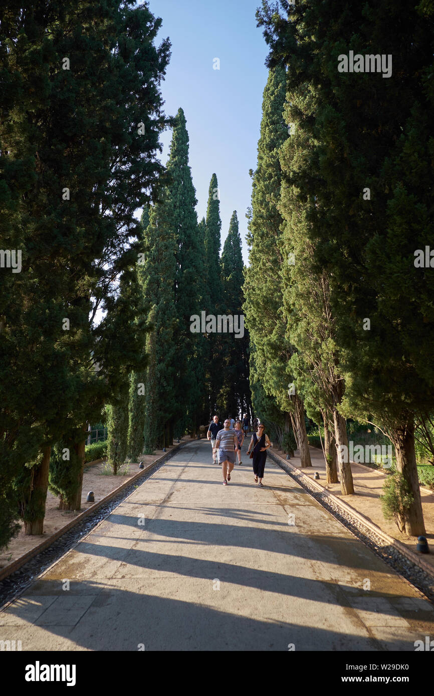 Die alhambra la alhambra Fotos und Bildmaterial in hoher Auflösung