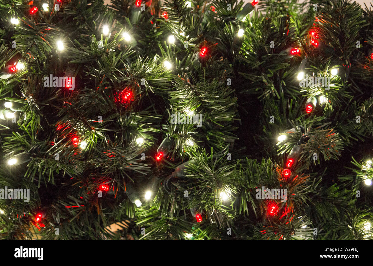 Beleuchteter Christbaum Hintergrund. In der Nähe von Weihnachten Baum mit bunten Lichtern und einem Abstauben des frischen Schnee Stockfoto