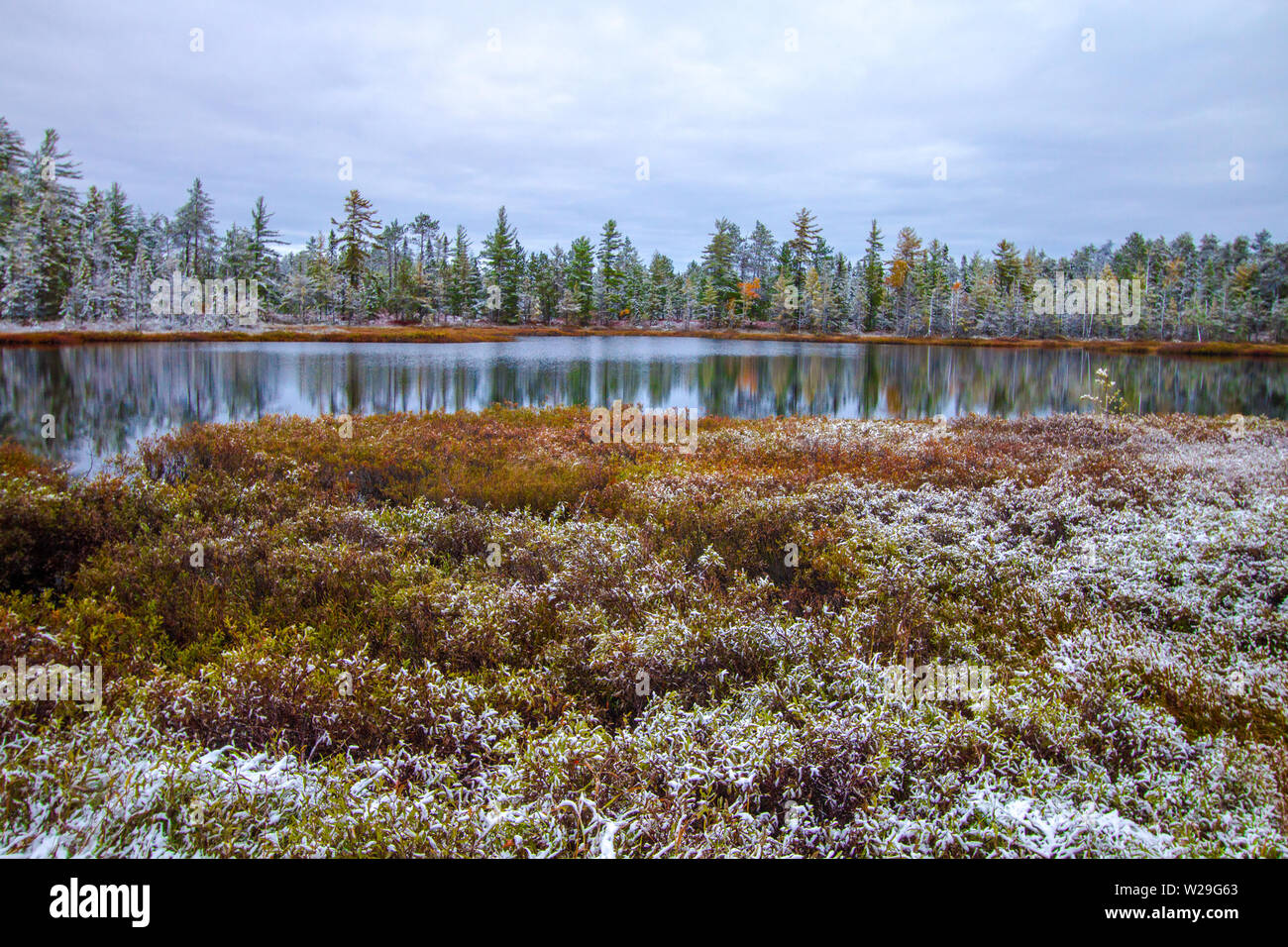 Michigan Winter Wonderland. Wunderschöne Wald mit frisch gefallenen Schnee in der Wüste noch Wasser eines Sees in der Oberen Halbinsel von Michigan nieder. Stockfoto