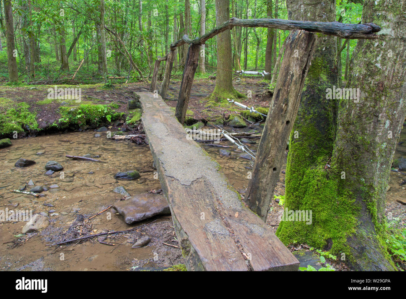 Wandern Fußgängerbrücke in der Smoky Mountains National Park. Anmelden Fußgängerbrücke über eine klare, frische Mountain Stream auf einem Wanderweg entlang der Appalachian Trai Stockfoto