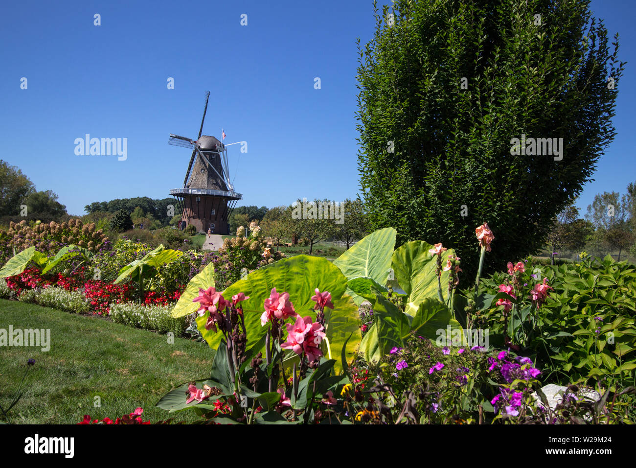 Die älteste authentische holländische Windmühle in Amerika ist in Holland, Michigan gelegen Es ist das Herzstück Tulip Time Festival, das Tausende zeichnet. Stockfoto