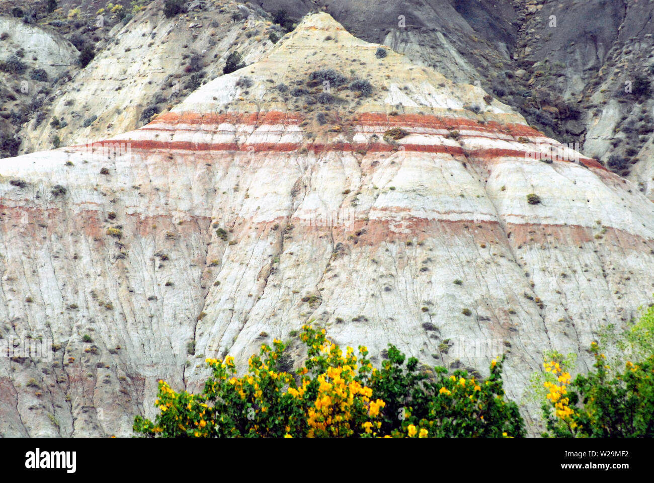 Wunderschöne bunte Berge formen und Gipfeln im Capitol Reef National Park, Utah, USA Stockfoto