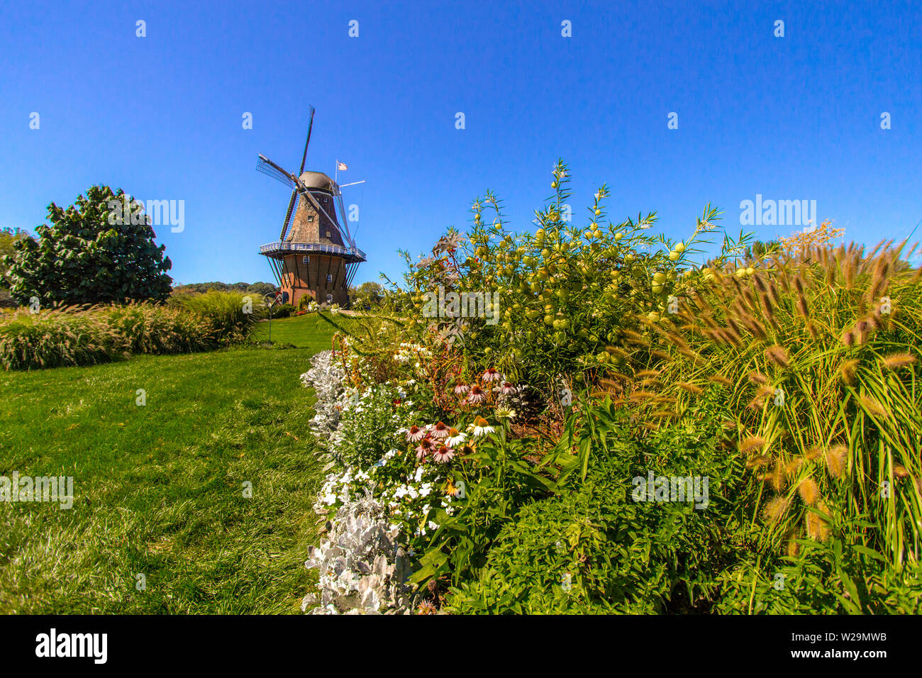 Holland Michigan Holländer-windmühle. Die älteste authentische holländische Windmühle in Amerika ist in Holland, Michigan gelegen Es ist das Herzstück Tulip Ti Stockfoto