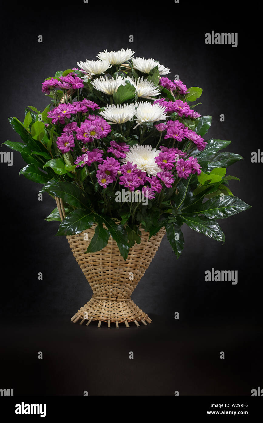 Rituelle Begräbnis Korb mit Blumen auf schwarzem Hintergrund. Die Blume Anordnung der Blumen im Korb ist für Begräbnisse und Lesezeichen verwendet. Mourni Stockfoto