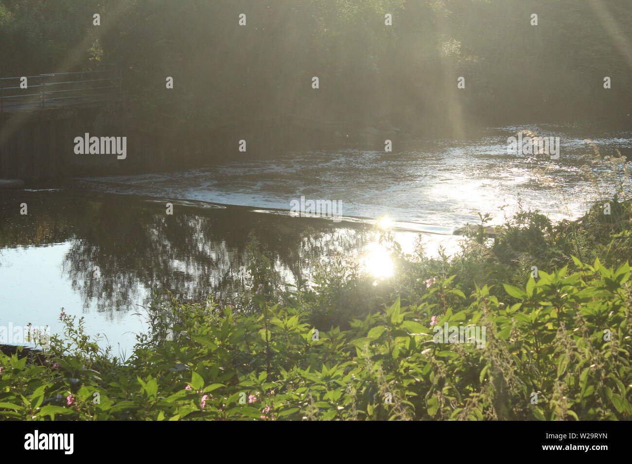 Bild des Abends Sonne an einem Fluss, mit Sträuchern davor in einem Wiesen an einem sonnigen Tag Stockfoto
