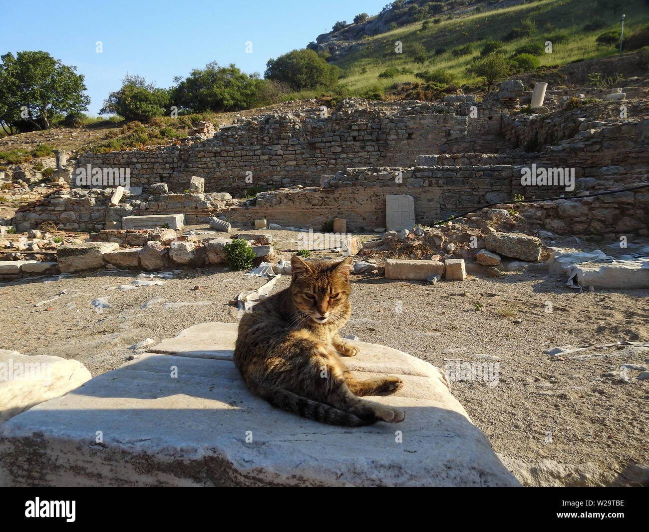 Katze sonnt sich in antiken Ephesus, Kusadasi, Türkei Stockfoto