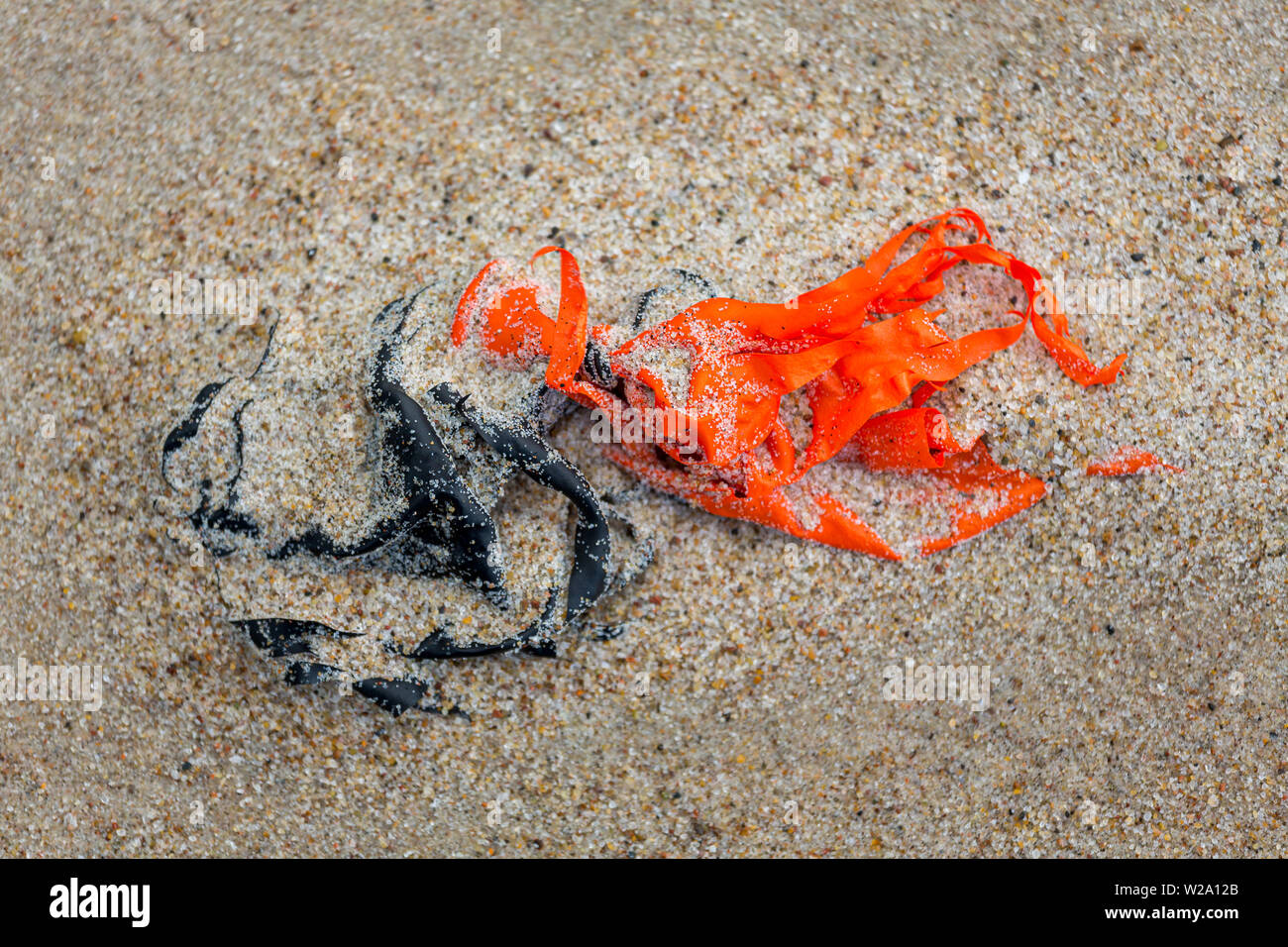 Umweltverschmutzung - Reste eine rote und eine schwarze Ballon am Strand Stockfoto