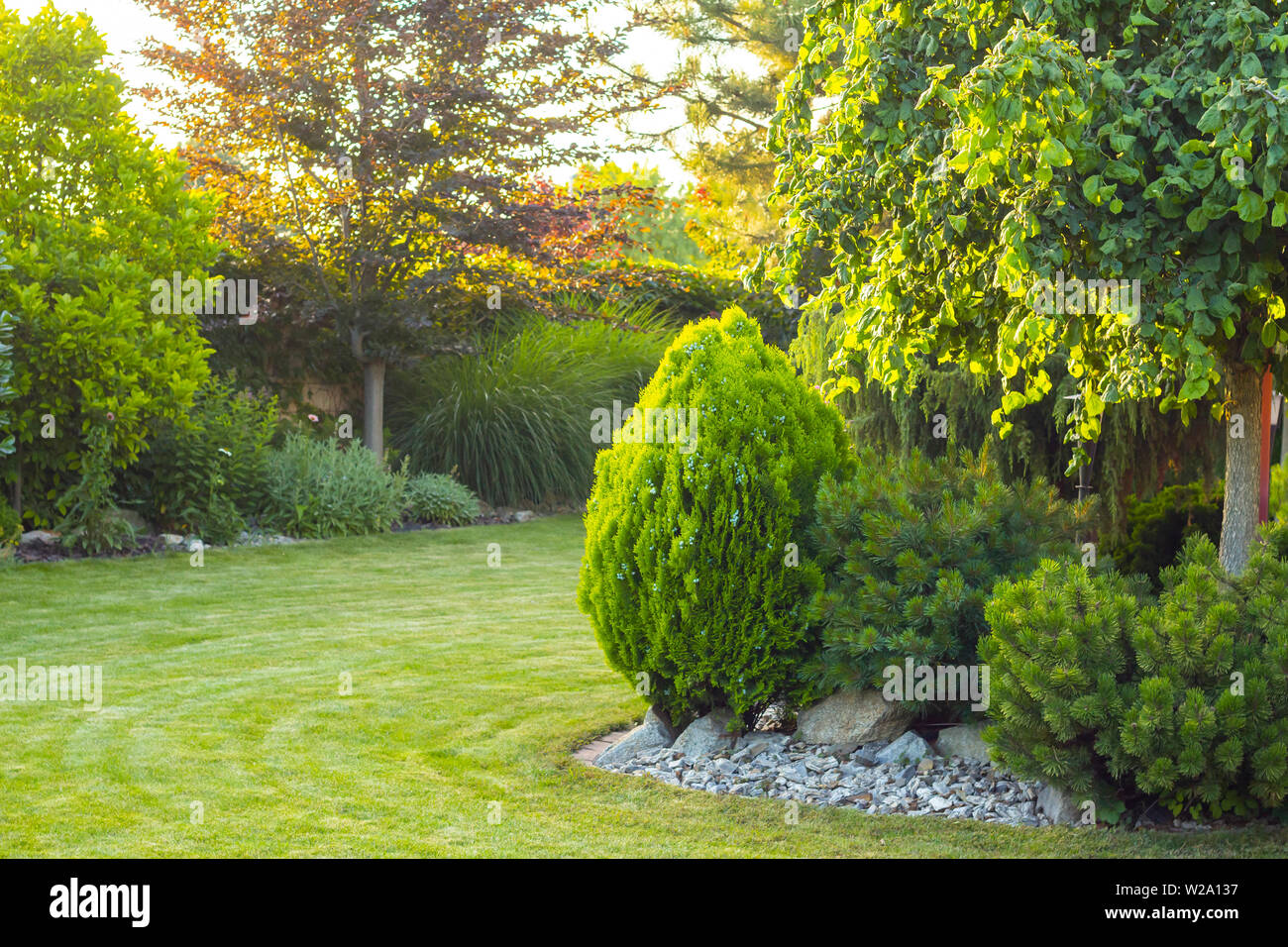 Home Garten mit dekorativen Pflanzen und Bäume Stockfoto