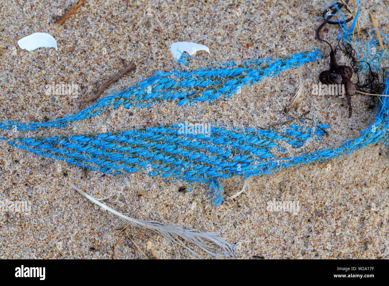 Umweltverschmutzung - einen alten blauen net Liegen am Strand Stockfoto