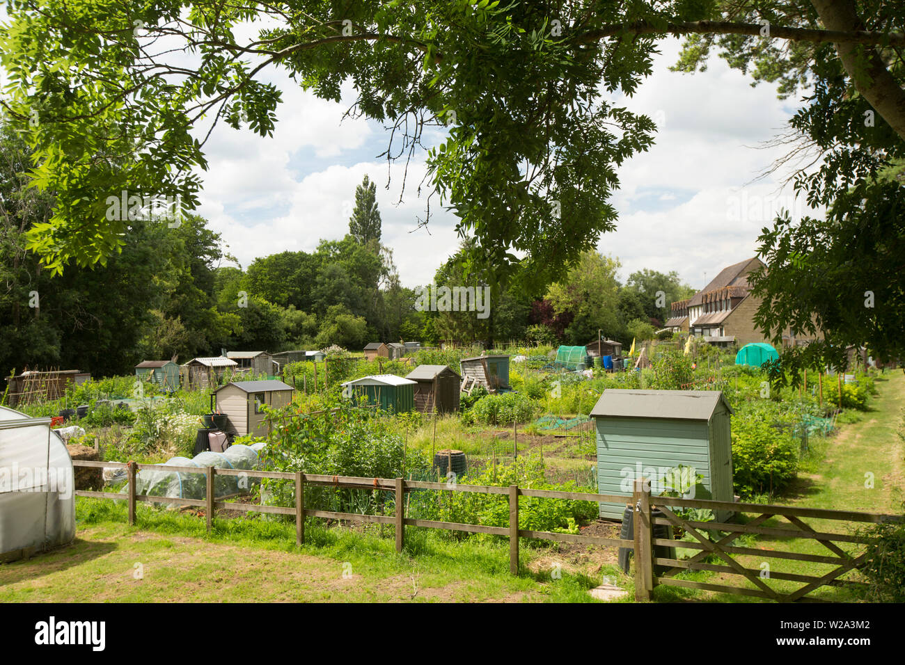 Zuteilungen hinter dem Garten der Erinnerung in der Stadt Gillingham, Dorset. Dorset England GB Stockfoto