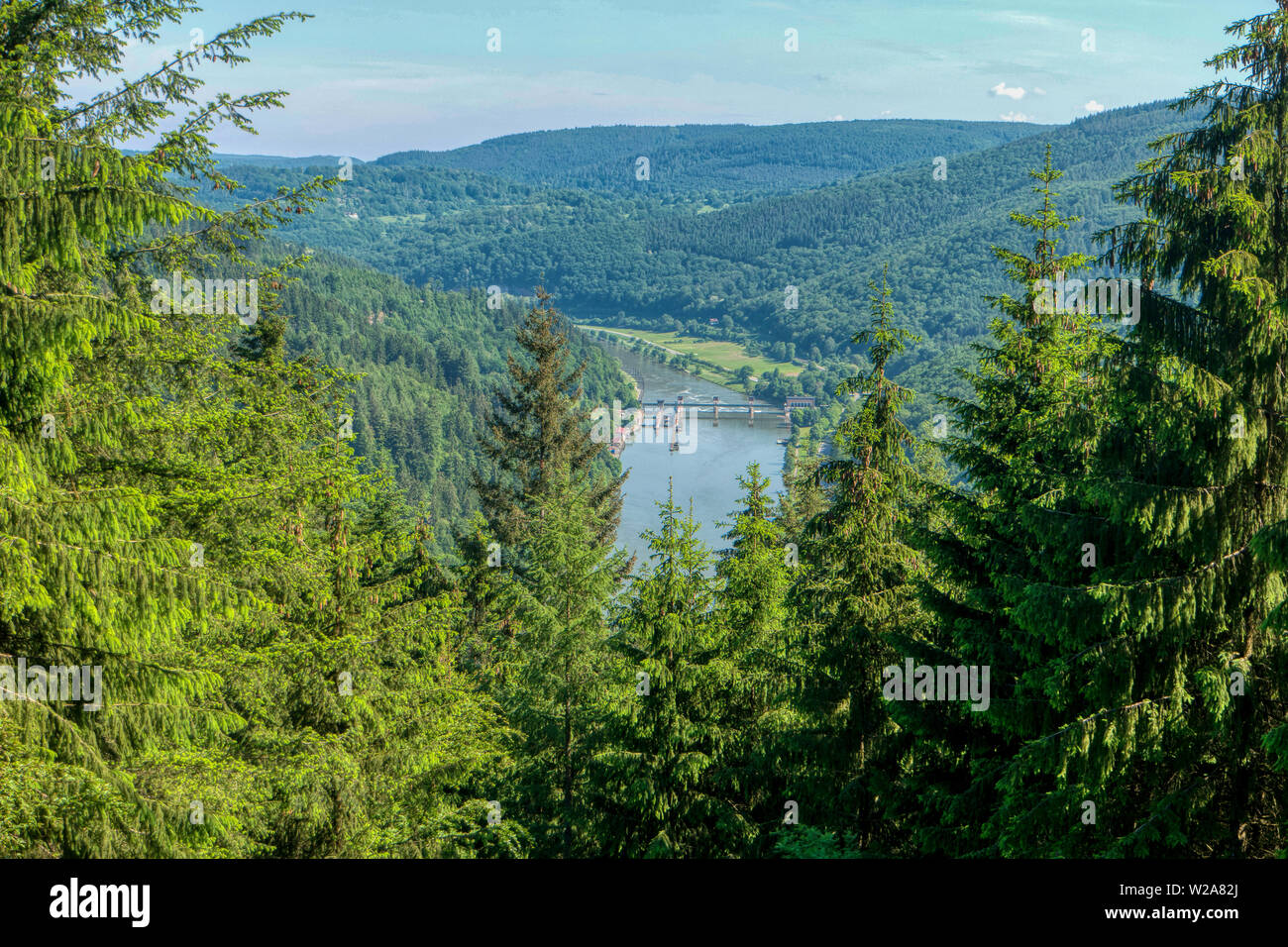 Wald Landschaft entlang der Neckarsteig Weitwanderweg in Deutschland Stockfoto